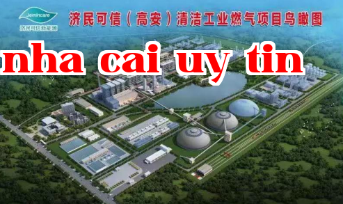 Dự án năng lượng sạch (Cao An) của Tập đoàn Ji Min Xin Xin