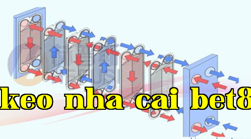 Hiệu suất trao đổi nhiệt của bộ trao đổi nhiệt dạng tấm là bao nhiêu