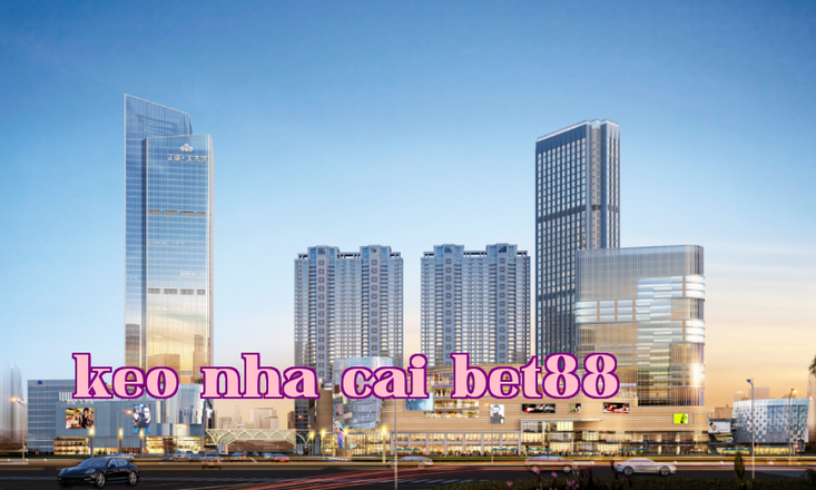 Trung tâm thương mại Nam Xương Chính Thịnh - Thái Cổ Cảng
